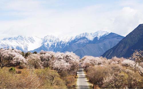 林芝縣為什么取名叫巴宜區(qū) 從拉薩怎么去林芝 去林芝旅游哪些景點(diǎn)必去