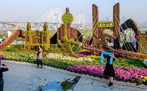 2017漢口江灘新景點菊花造景