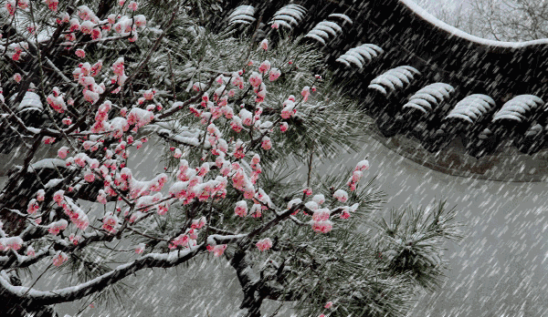 國內(nèi)適合看雪的地方大全 國內(nèi)適合看雪的地方大全