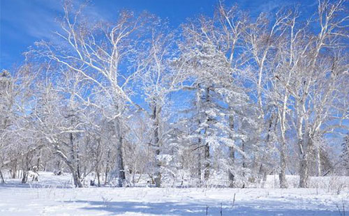 雪鄉(xiāng)羊草山門票價格 羊草山游玩攻略