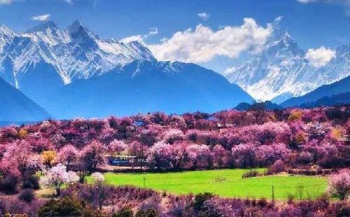 2018年林芝桃花節什么時候開始