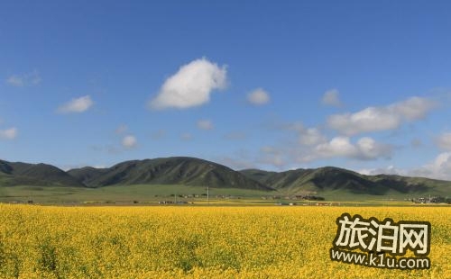 2018興化千島油菜花節時間+門票+交通