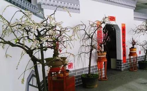 2018年北京響水湖長城梅花展(時間地點門票和優惠政策)