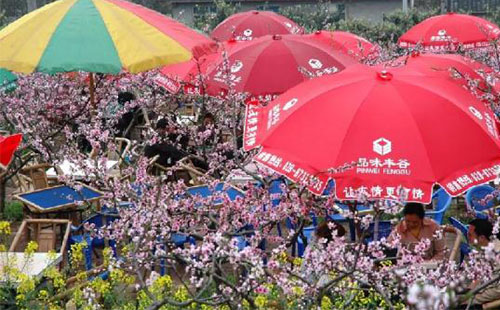 2018簡陽桃花節門票價格+時間+地點