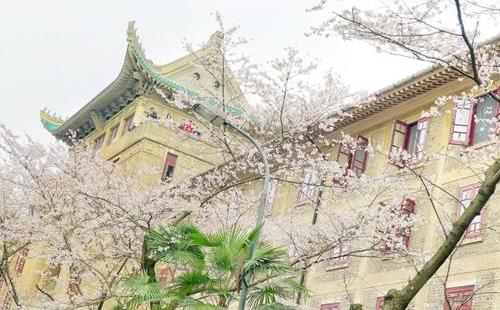 武大櫻花門(mén)票預(yù)約比春運(yùn)搶票還難