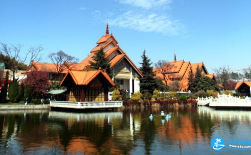 西雙版納常見旅游騙局 西雙版納低價團黑幕