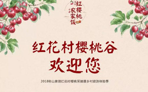 2018龍泉山泉鎮摘櫻桃多少錢+時間+具體位置