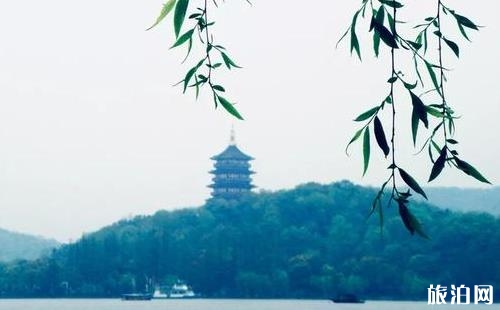 杭州西湖和蘇州金雞湖哪個更好玩