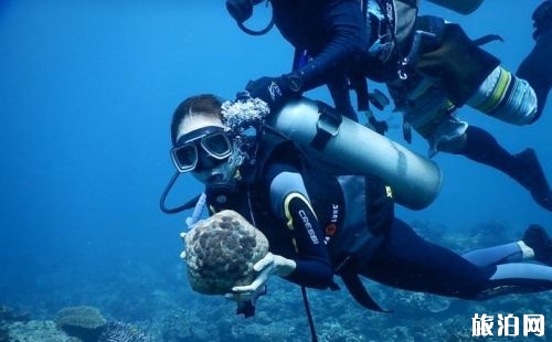 不會(huì)游泳可以潛水嗎 近視潛水可以帶隱形眼鏡嗎