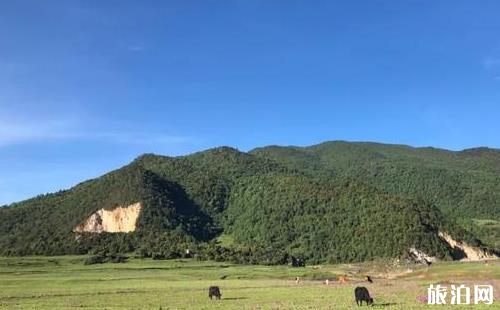 鄭州自駕到拉薩要多久需要多少錢