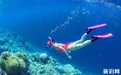 怎樣在水里憋氣時(shí)間長(zhǎng) 潛水如何練習(xí)水下憋氣