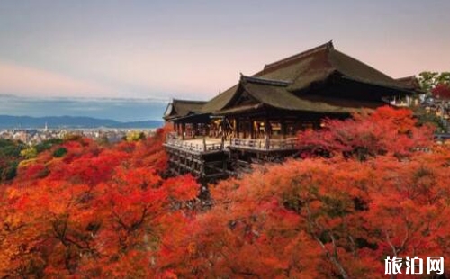 日本楓葉2018預(yù)測最佳時間 日本楓葉最佳觀賞點推薦 日本的楓葉什么時候紅