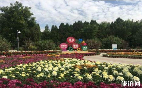 2018蘭州植物園國慶賞菊 蘭州植物園的門票多少錢