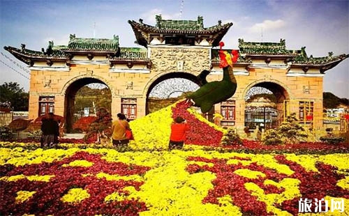 2018蘭州安寧仁壽山菊花展怎么去 要門票嗎