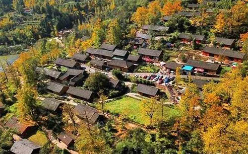 六盤水妥樂村最佳旅游時(shí)間 妥樂村的銀杏樹黃了嗎