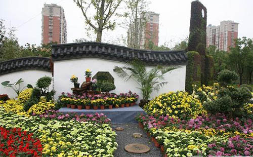 2018唐閘公園菊花展什么時候開始