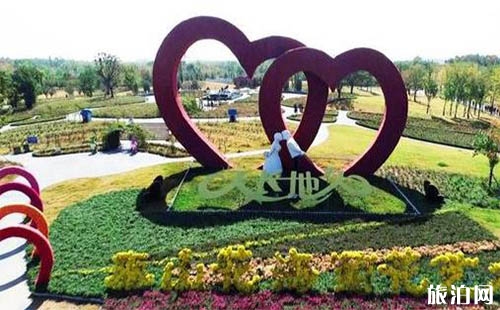 2018泰山天頤湖景區(qū)菊花展持續(xù)時間是多久