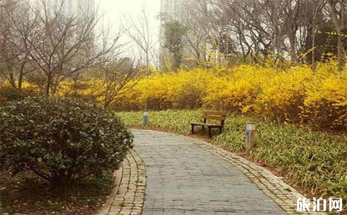 2018常州菊花節(jié)什么時候開始