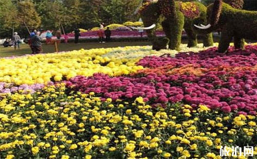 2018武漢解放公園菊花展時間是多少