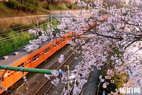 日本探親訪友簽證材料有哪些 日本探親訪友簽證詳細(xì)