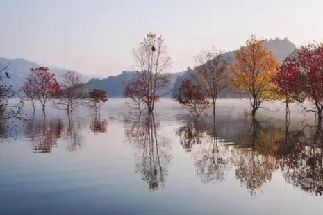 雙十一去哪旅游 十一月適合去哪里旅游國內