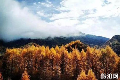 2018神農架免費的地方 當地居民憑身份證免票進景區免票持續五天嗎