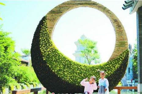 2018福建園博苑菊花展時間是多少 地點+收費