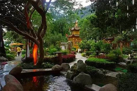 黃山露營需要實名制預約嗎  預約從什么時候開始
