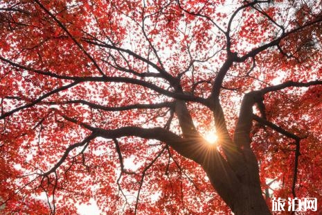 2018木蘭天池紅葉最佳觀賞地點+時間+門票價格+交通 木蘭天池楓葉什么時候觀賞