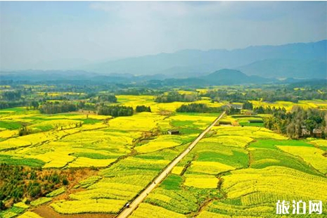 2019騰沖油菜花節時間 花期+游玩攻略