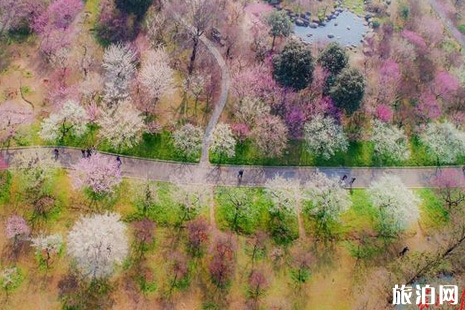 2019年東湖賞花聯(lián)票價格+使用指南+交通指南