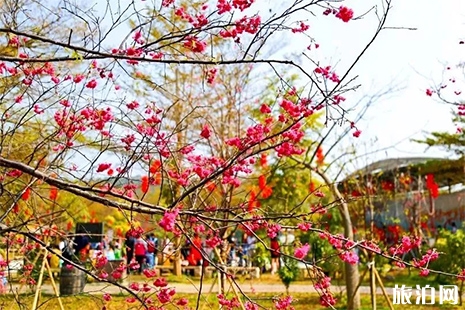 廣州清遠旅游卡在哪辦理