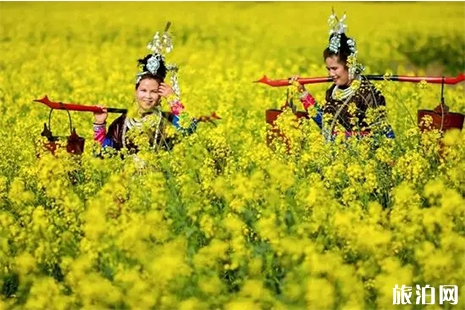 近期貴州哪些地方花開了2019