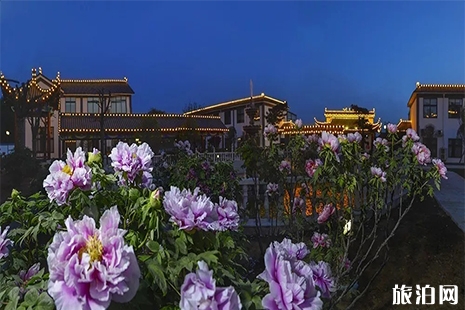 2019方城牡丹花節4月4日至20日開啟