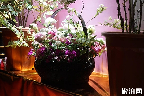 2019彭州牡丹花節在哪里 時間+地點+活動時間安排