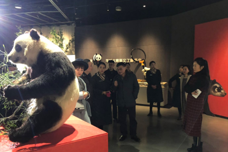 重慶自然博物館熊貓展免費嗎 2019重慶自然博物館熊貓展時間+地點