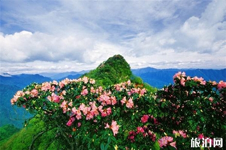 2019年5月19日中國旅游日四川巴中景區優惠信息匯總