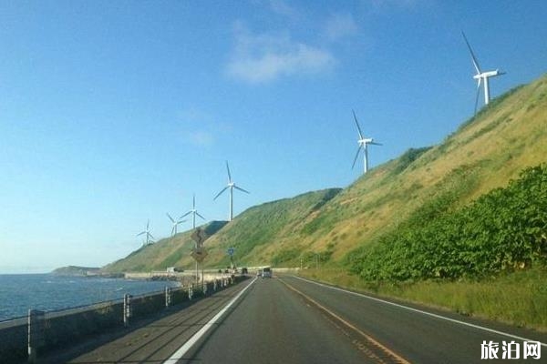 大陸駕照在日本開車嗎 北海道租車攻略