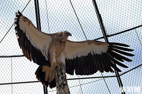 蘭州動物園門票多少錢 營業時間+地址