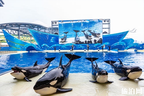 2019上海海昌極地海洋公園地址+門票+優(yōu)惠政策