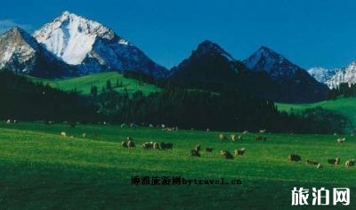 2019特克斯中高考生免費旅游活動時間+景點+優惠信息 2019特克斯中高考生免費旅游活動時間+景點+優惠信息