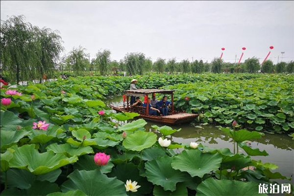 2019南通鄉(xiāng)村旅游節(jié)6月22日開啟 附活動時間安排