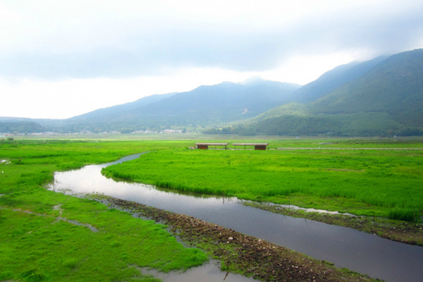 騰沖最佳旅游季節是幾月 騰沖消費高嗎
