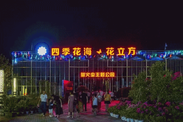 2019英山四季花海螢火蟲啤酒音樂節攻略