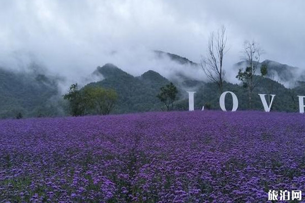 日本北海道節日有哪些+最佳旅游季節