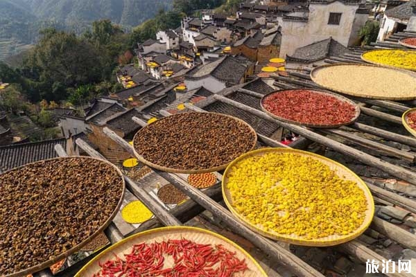 婺源網紅打卡地推薦