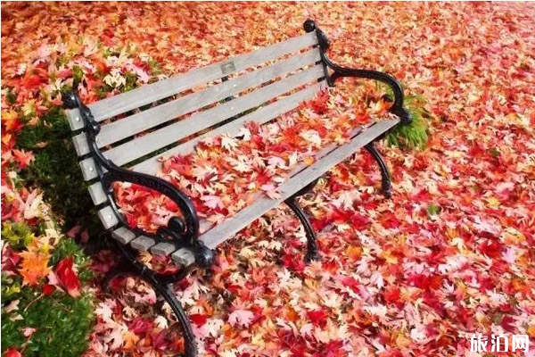 2019關(guān)西紅葉季時間+觀賞地點推薦
