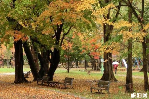北海道紅葉時間2019+觀賞地點推薦