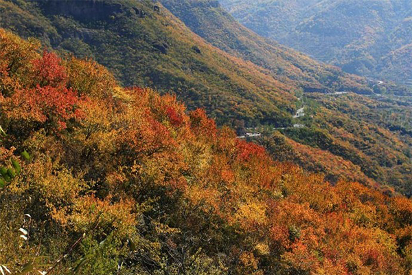 門頭溝妙峰山觀賞紅葉的最佳時間+門票價格