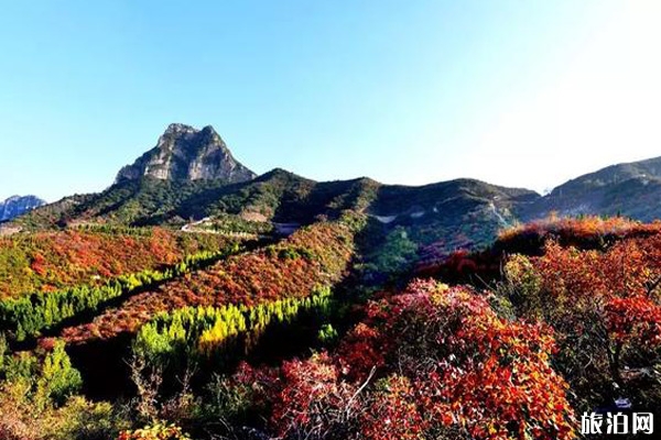 2019荊紫仙山門票免費時間 秋天荊紫仙山景區(qū)好玩嗎